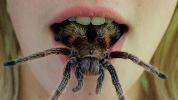 Creepy Crawlies - Feel Them Crawling creepypasta česky darktown.cz pavouci v puse spider mouth