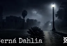 Ponurá noční ulice Los Angeles ve stylu film noir s osamělou pouliční lampou a černou jiřinou na mokrém asfaltu