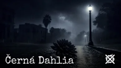 Ponurá noční ulice Los Angeles ve stylu film noir s osamělou pouliční lampou a černou jiřinou na mokrém asfaltu