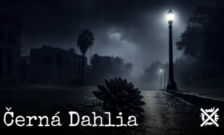 Ponurá noční ulice Los Angeles ve stylu film noir s osamělou pouliční lampou a černou jiřinou na mokrém asfaltu